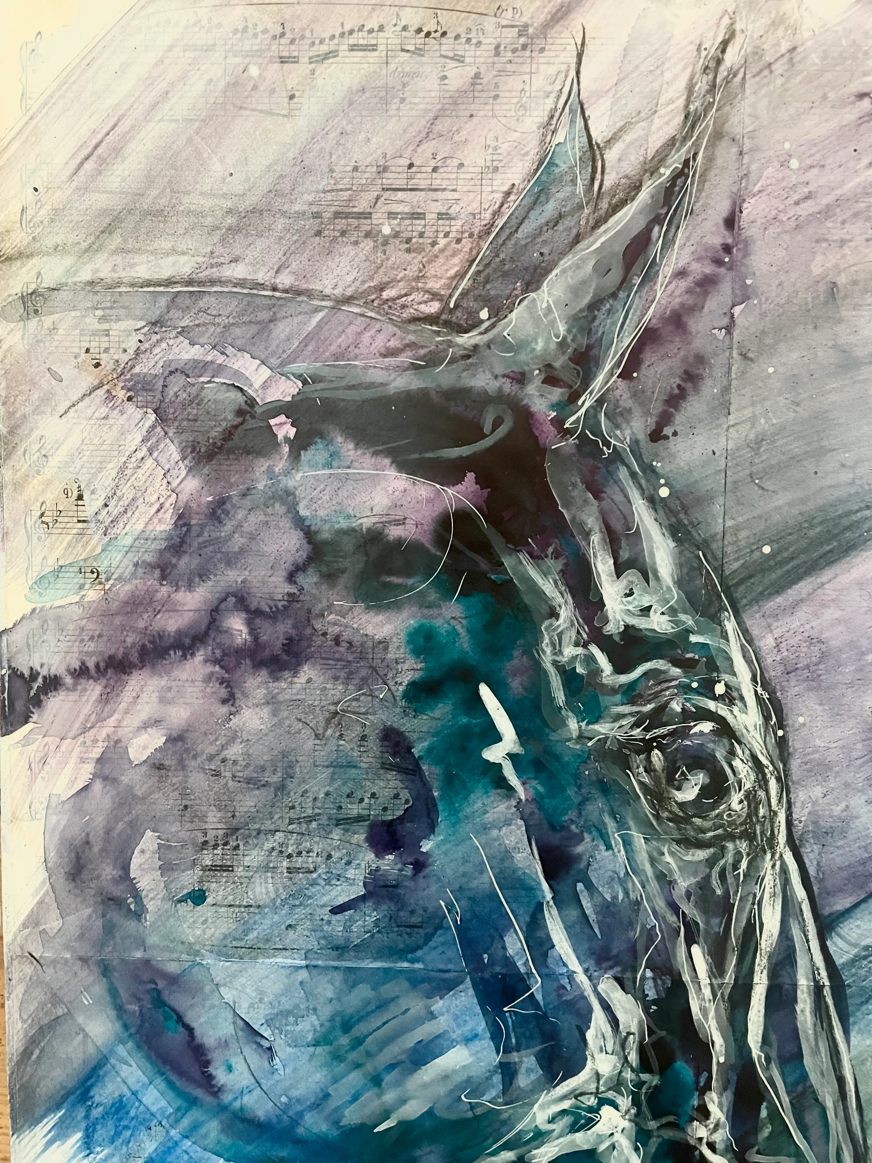 Illustration du projet