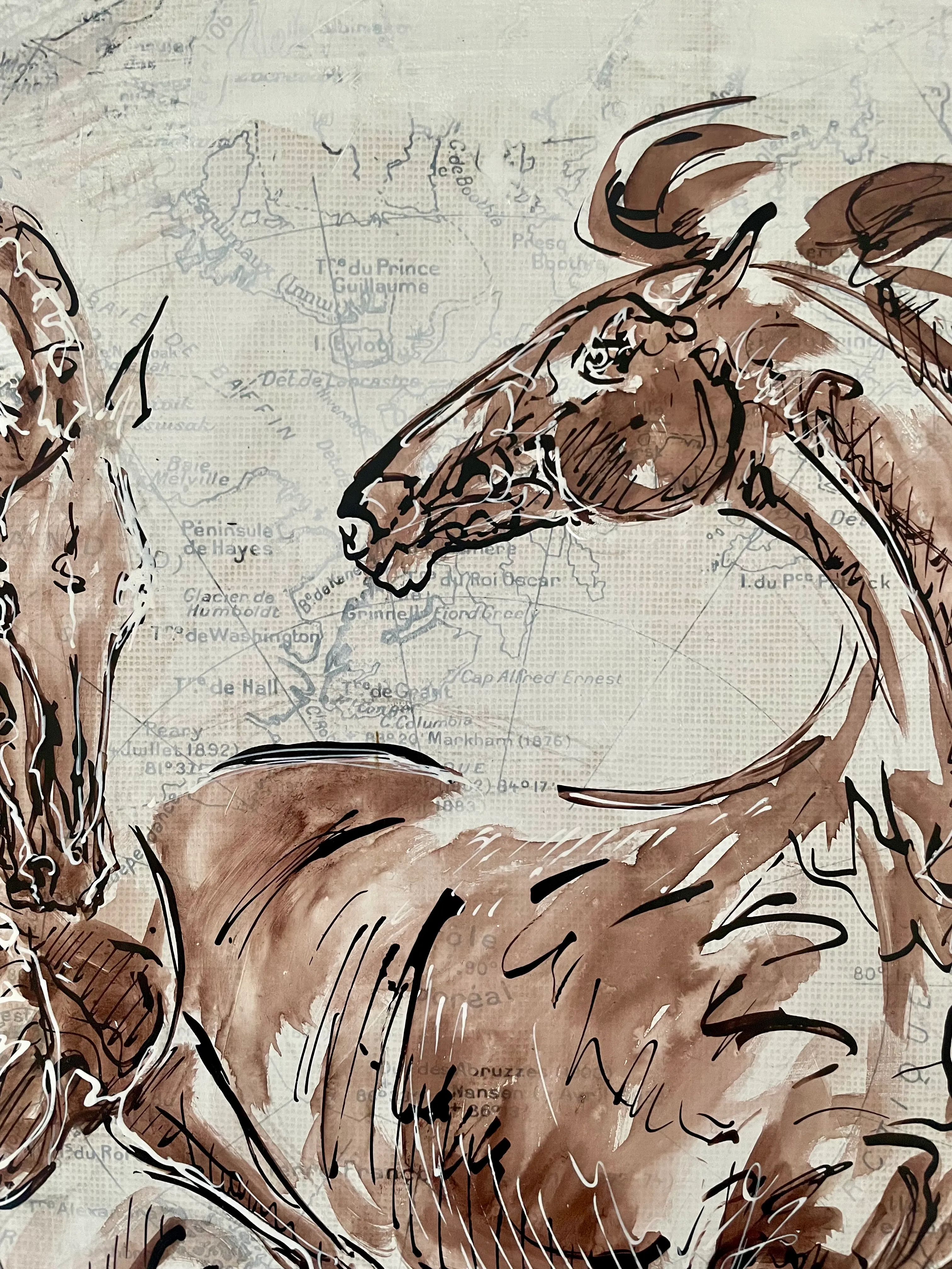 Illustration du projet